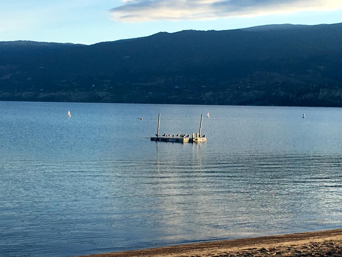 Black Sea Motel Penticton Exteriör bild